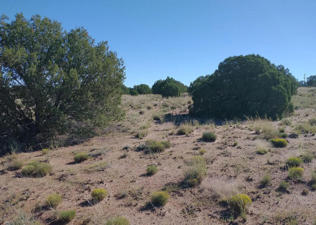 Navajo 1.12 Acres, 403-05-251 Golden Horse #1, N of Hwy - 4589 Mountain View Rd, Snowflake, AZ 85937