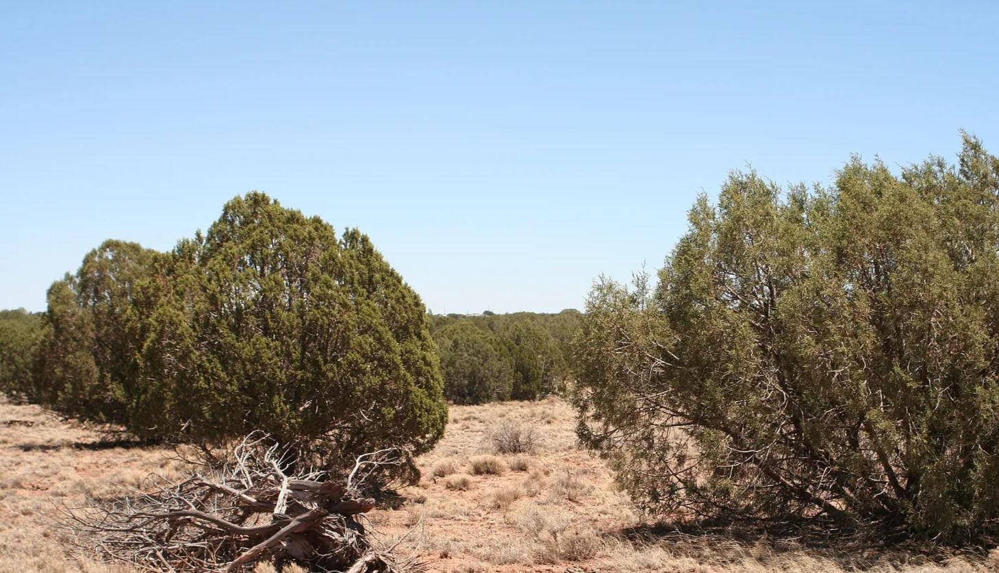 Navajo 1.12 Acres, 403-05-251 Golden Horse #1, N of Hwy - 4589 Mountain View Rd, Snowflake, AZ 85937